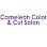 Cameleon Color & Cut Salon