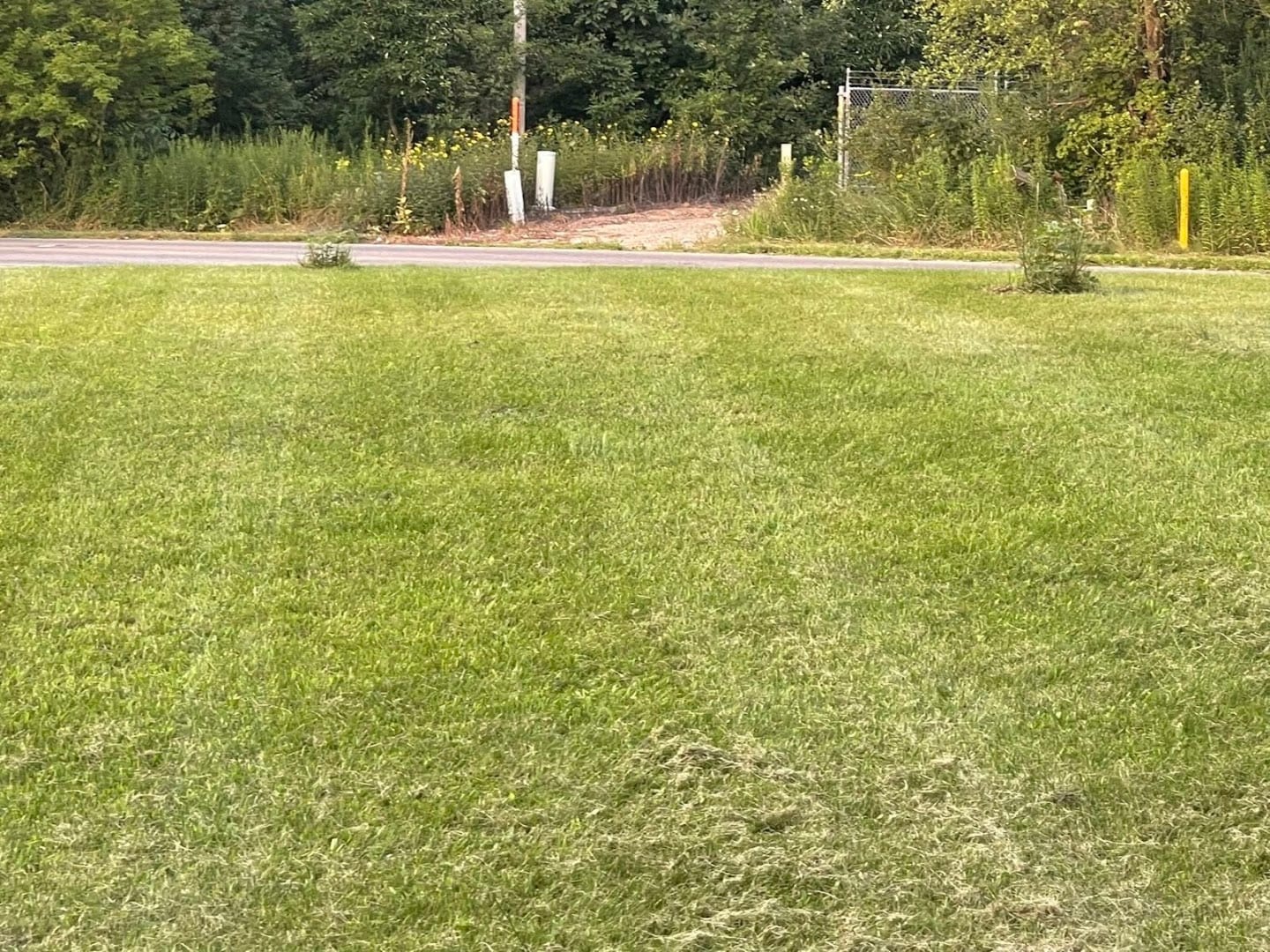 Wolf Creek Property Management, photo 2