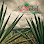 El Mezcal