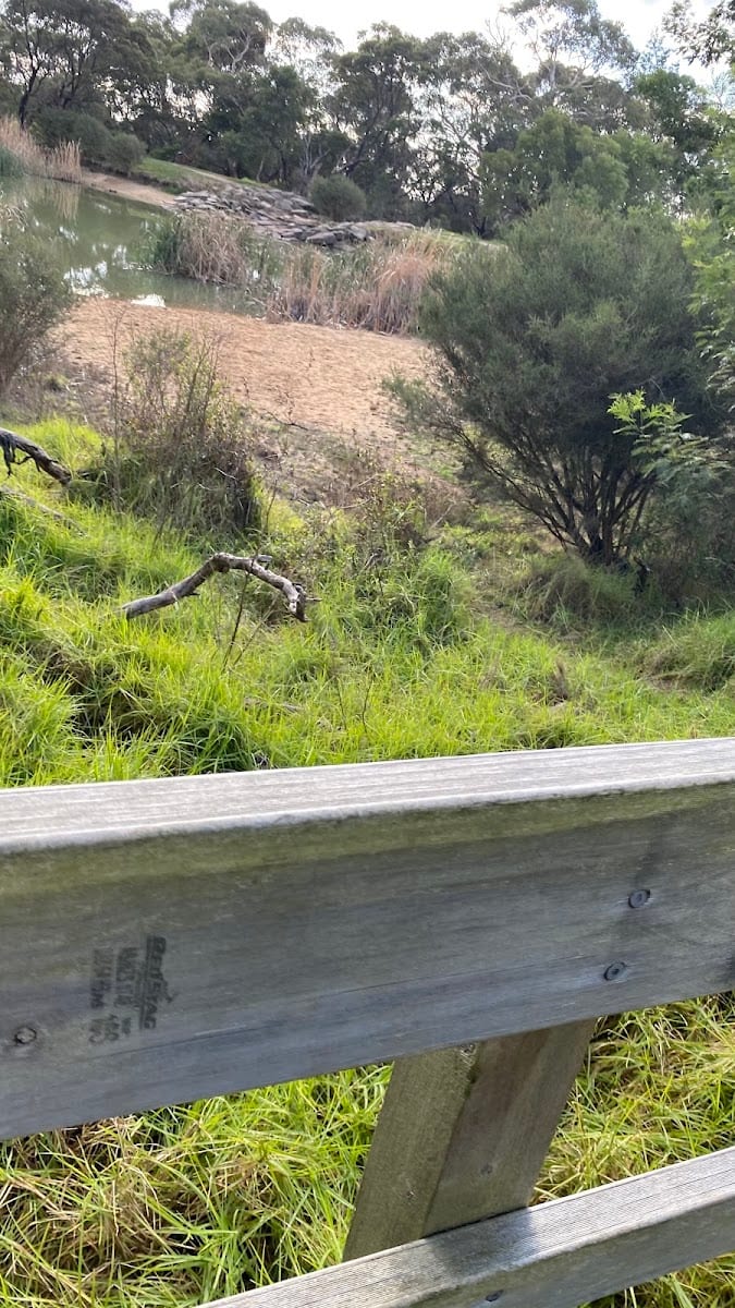 Hillview Community Reserve Dog Off Leash Area, photo 3