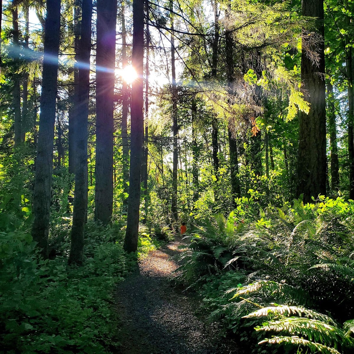 Margaret McKenny Park