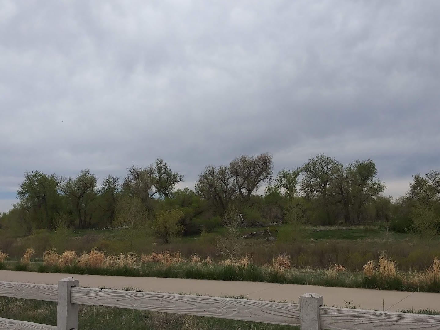 Broncos Parkway Trailhead at Cherry Creek, photo 3