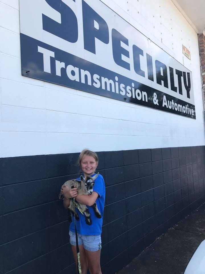 Specialty Transmission & Automotive, photo 4