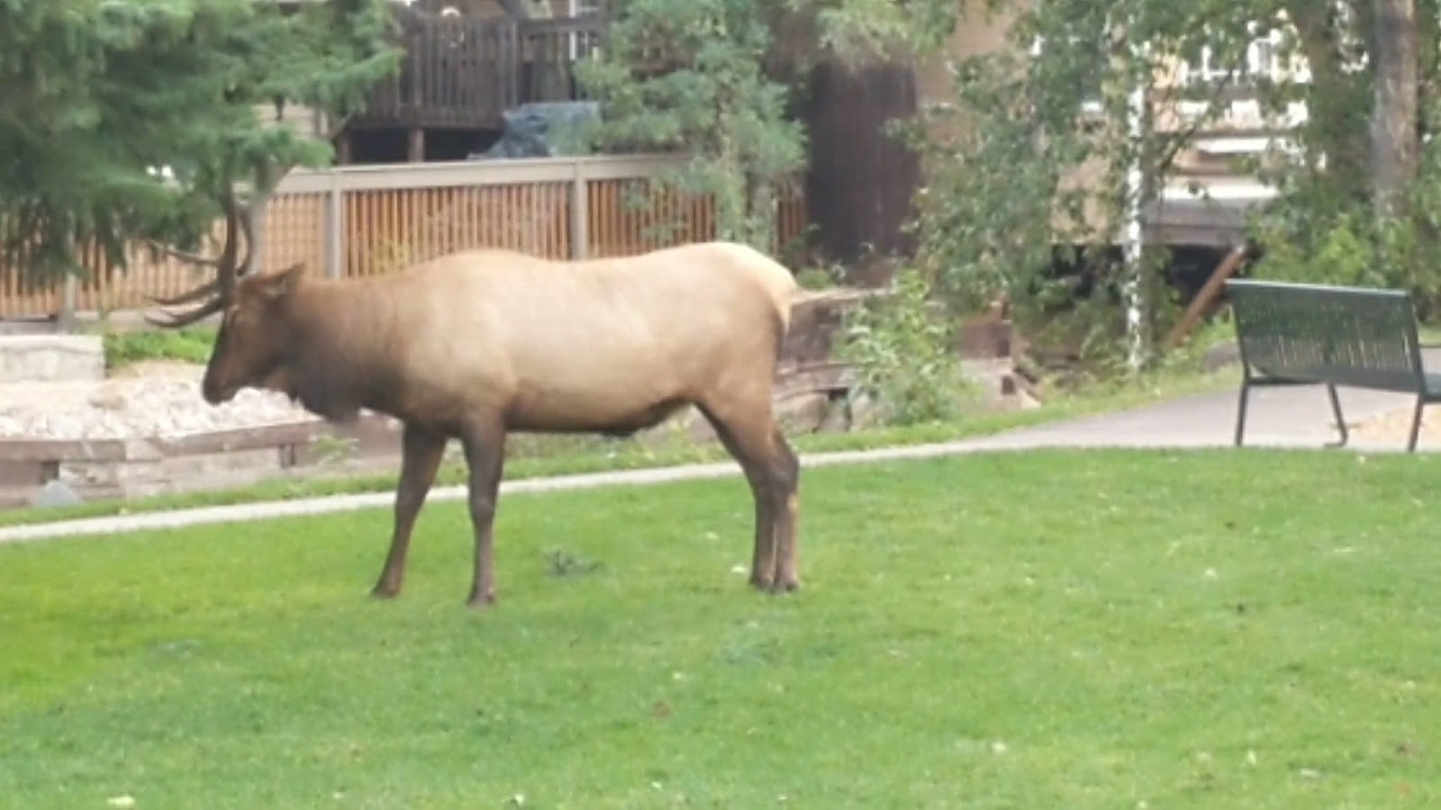 Baldwin Park, photo 2