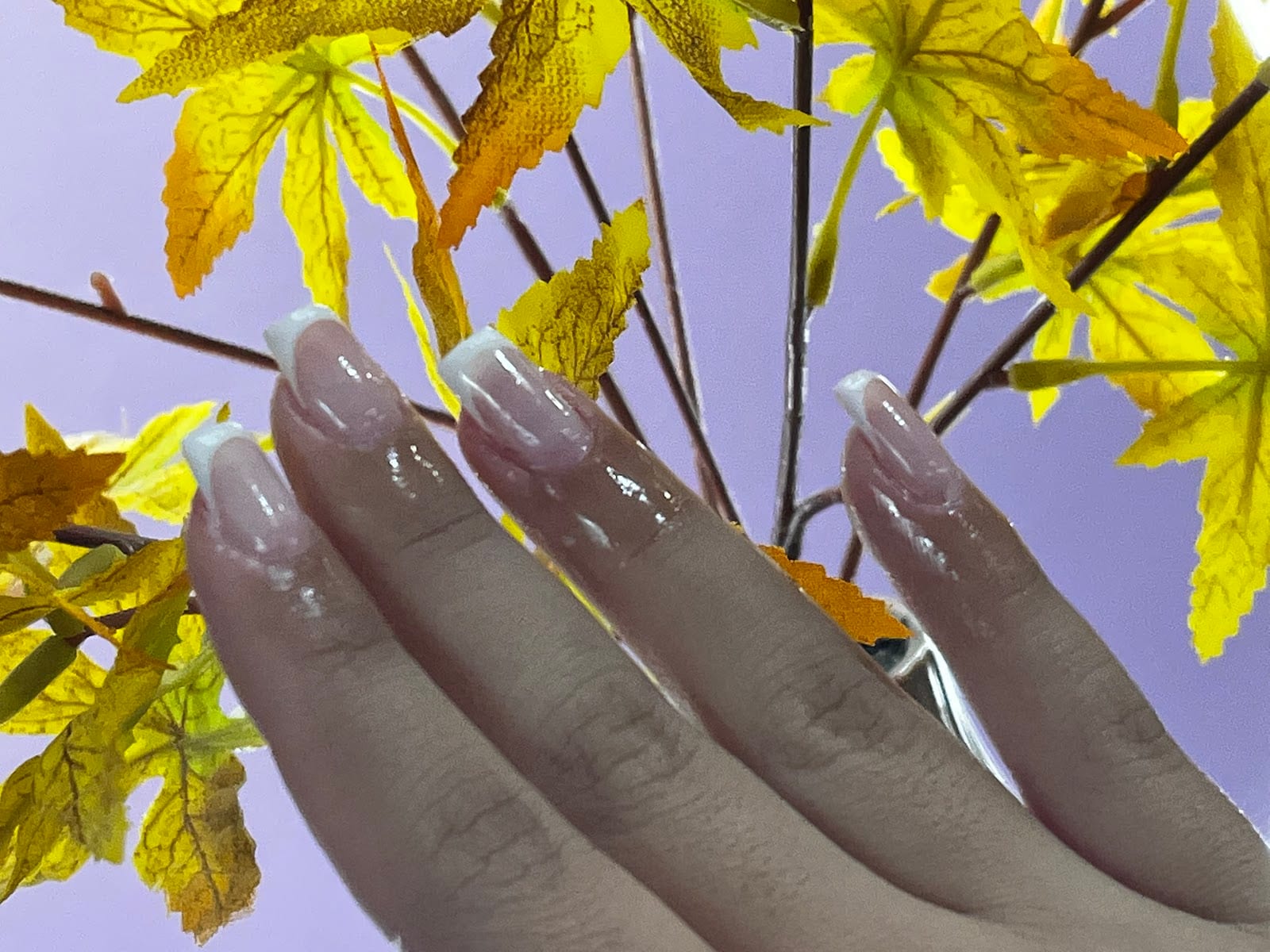 Demi’s nails salon, photo 3