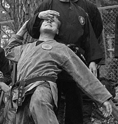 Sarasota Bujinkan Budo Taijutsu Shizen Dojo, photo 2