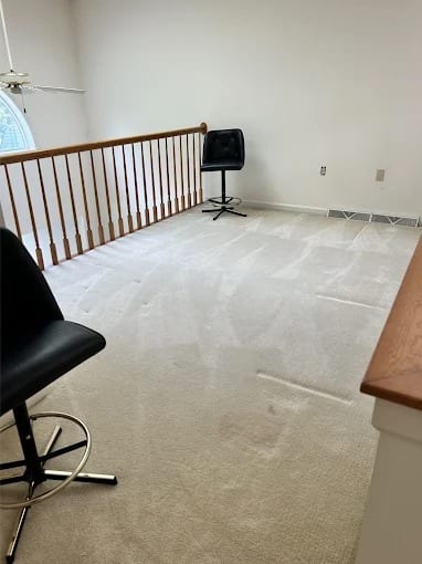 Cactus Cleaning Services Scottsdale, photo 4