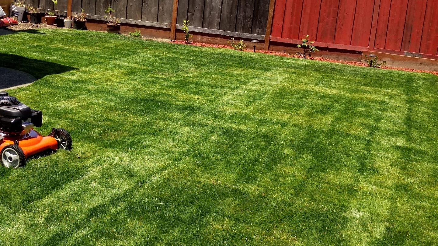 Brother's gardening LLC, photo 2