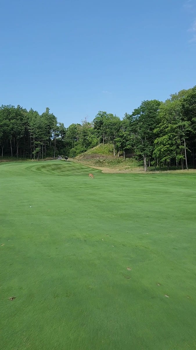 Summit Golf Club, photo 2