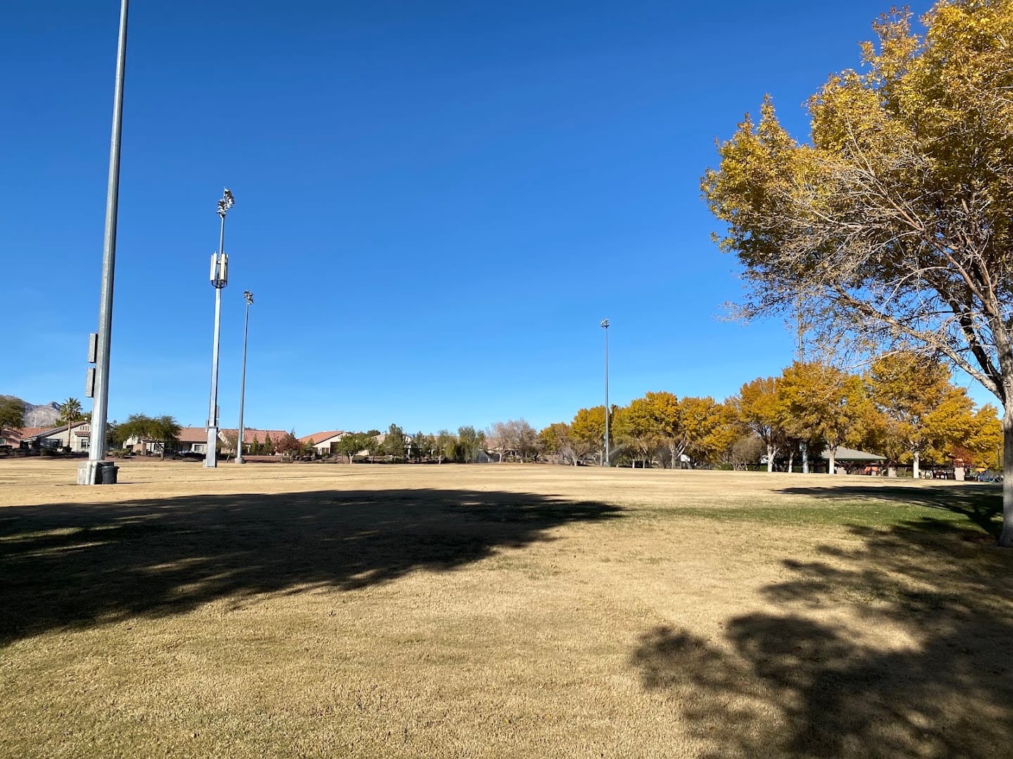 Spotted Leaf Park, photo 3