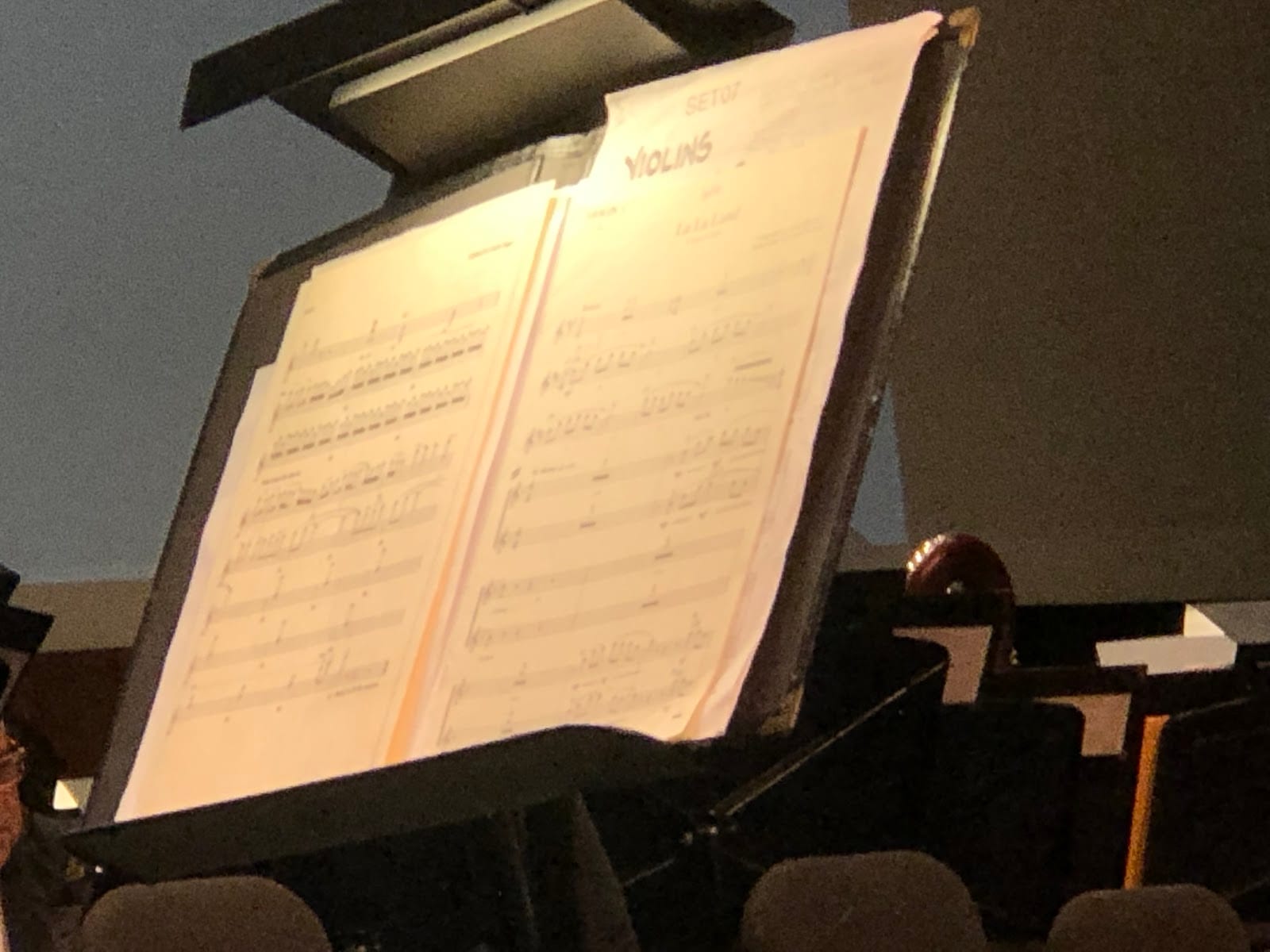 The Venice Symphony, photo 2