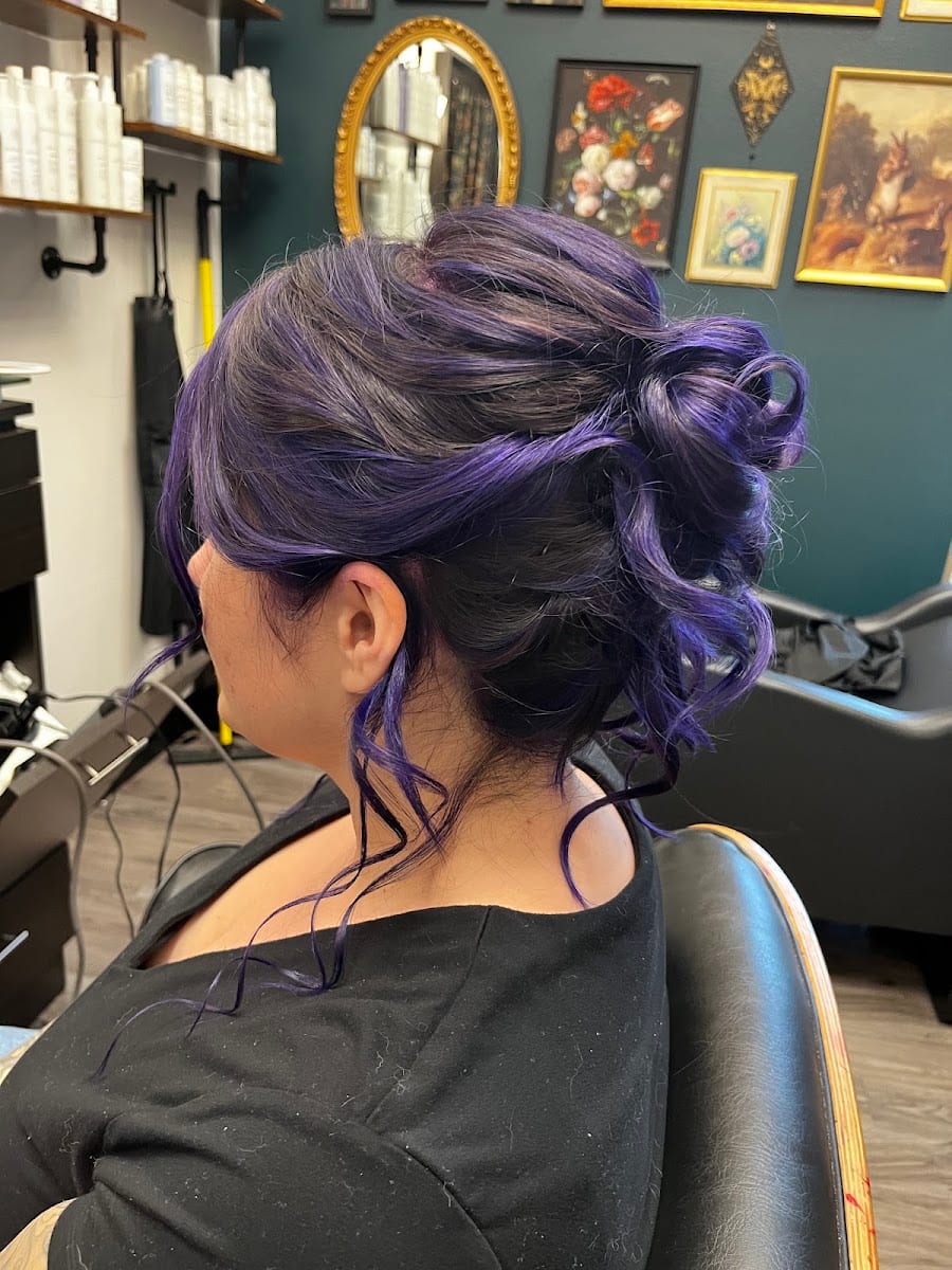 Curtiscolorshair