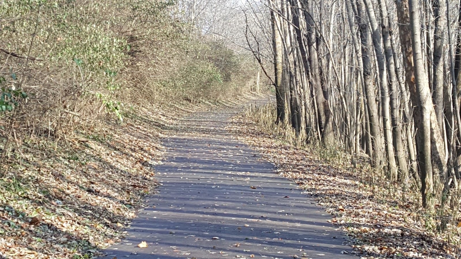 Maumee Trailhead