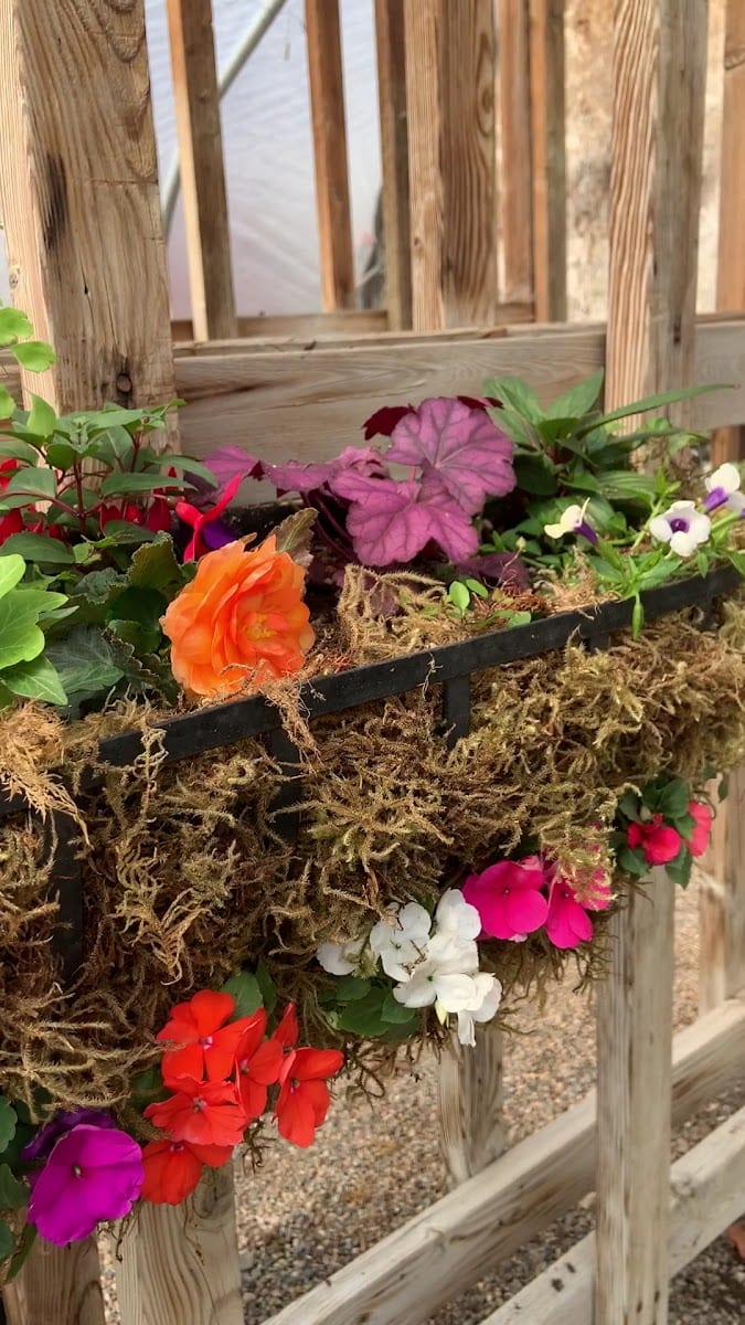 The Green House Nursery Inc., photo 3