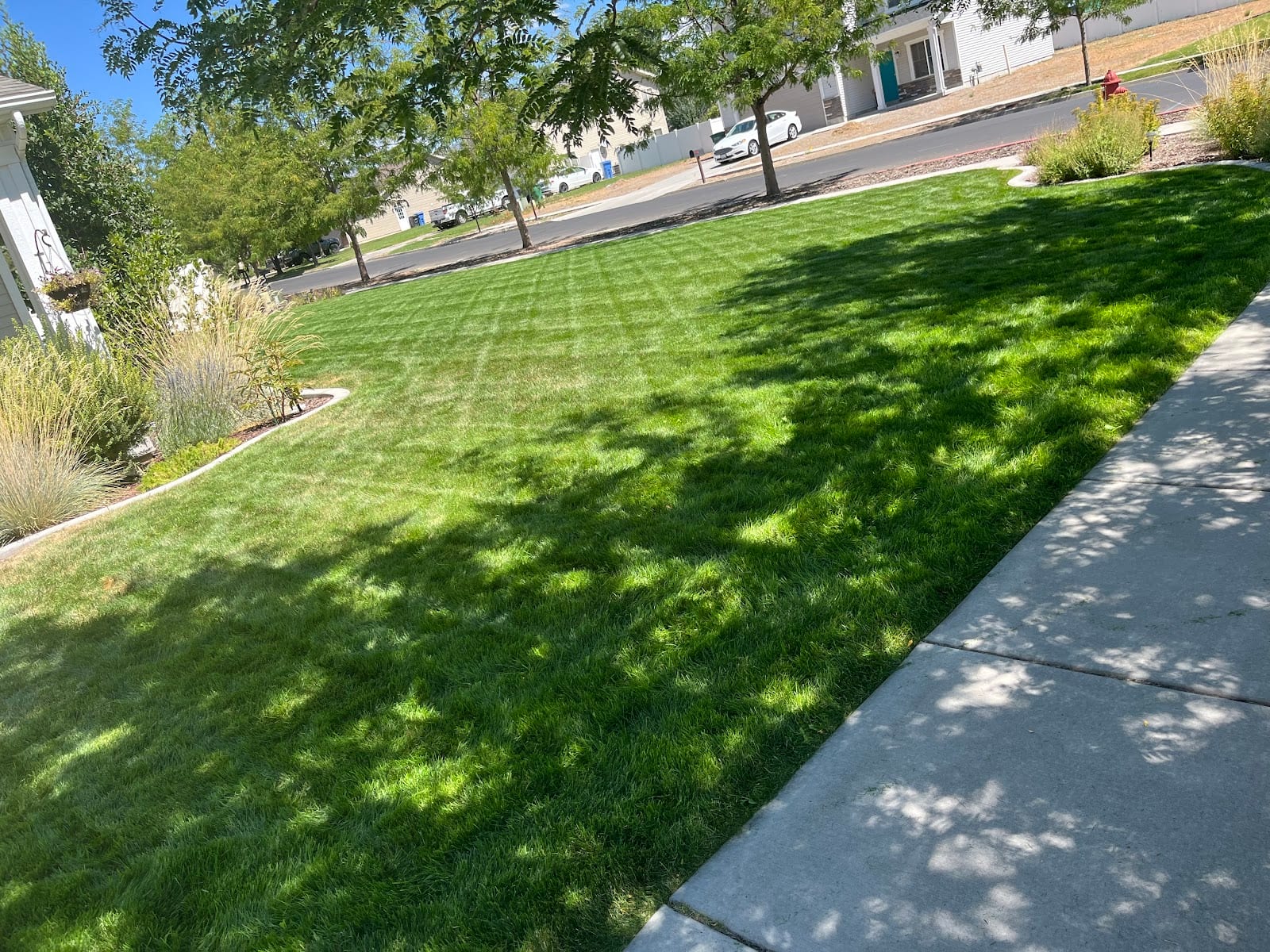 Black Diamond Lawn Care, LLC, photo 2