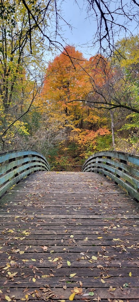 Upper Don Recreation Trail, photo 3