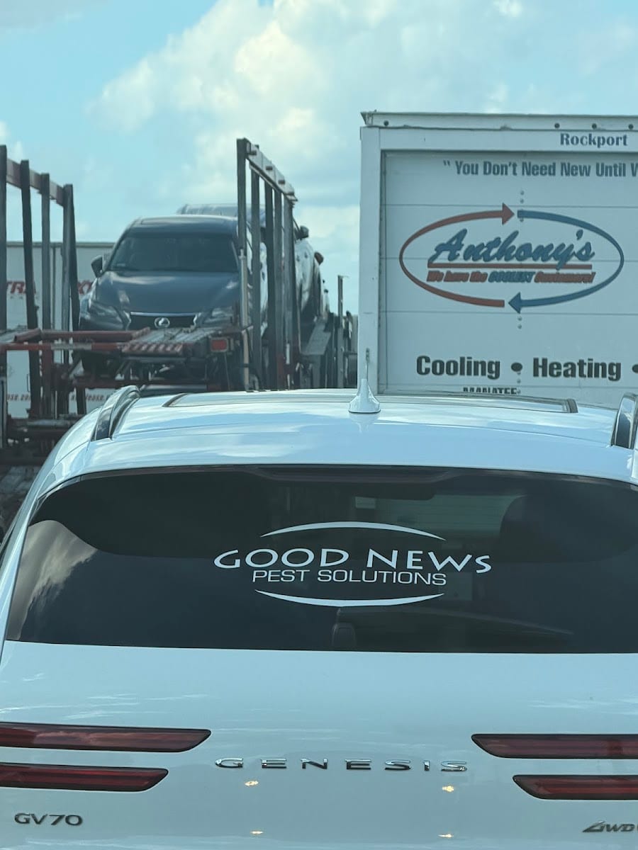 Good News Pest Solutions, photo 3