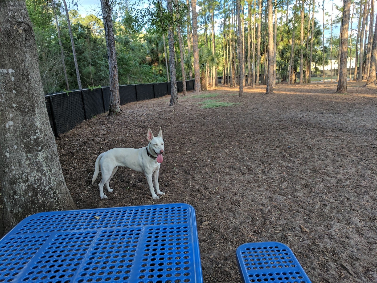 New Tampa Recreational Center
