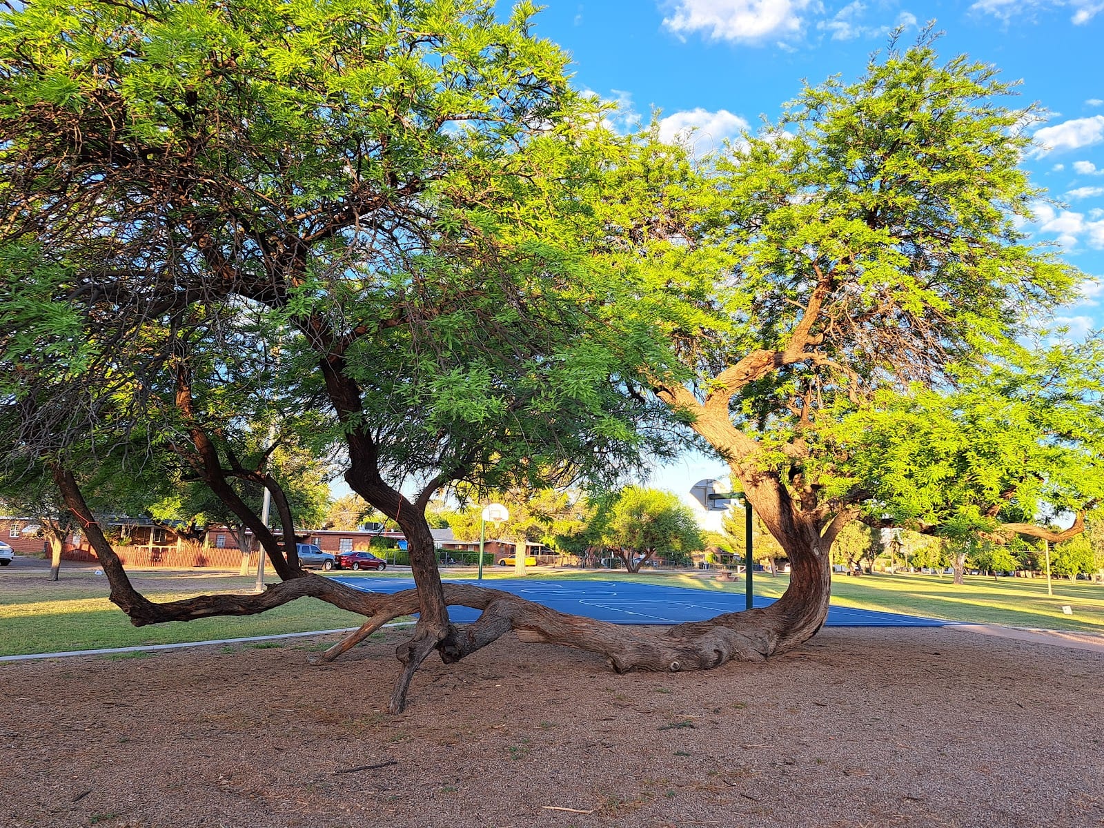 Merle J. Toumey Park