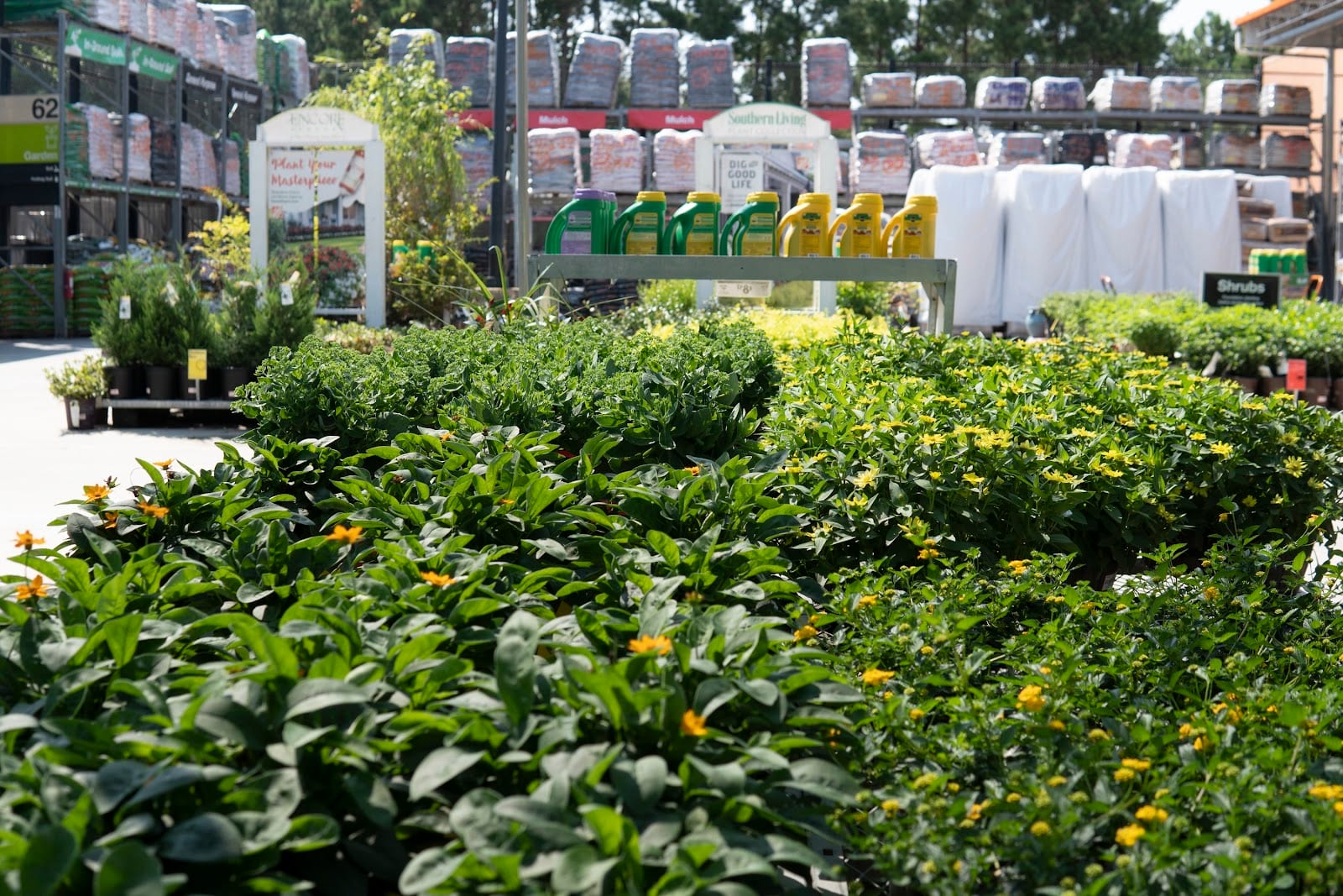 Garden Center at The Home Depot, photo 3