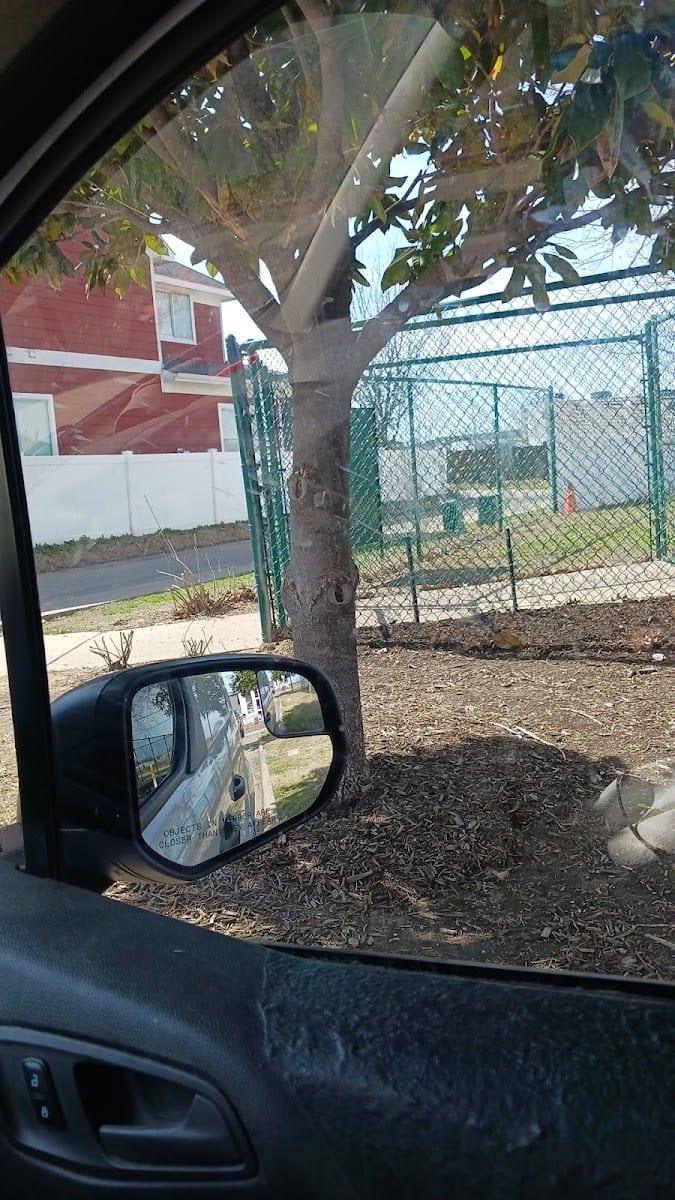 Cherokee Rose Dog Park, photo 3