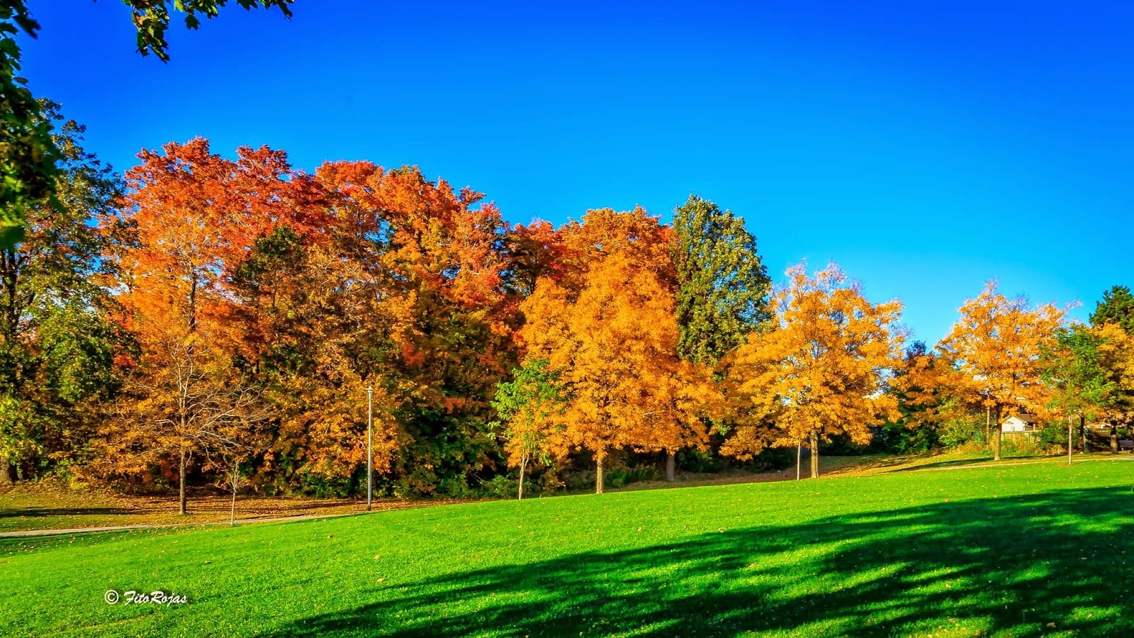 Fennimore Park, photo 3