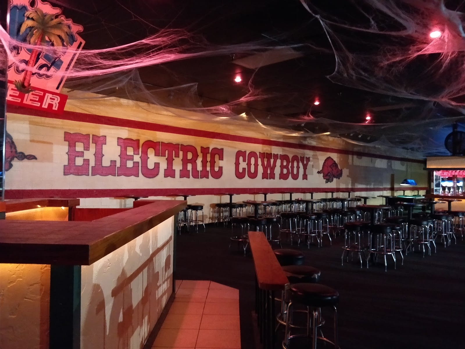 Electric Cowboy, photo 2