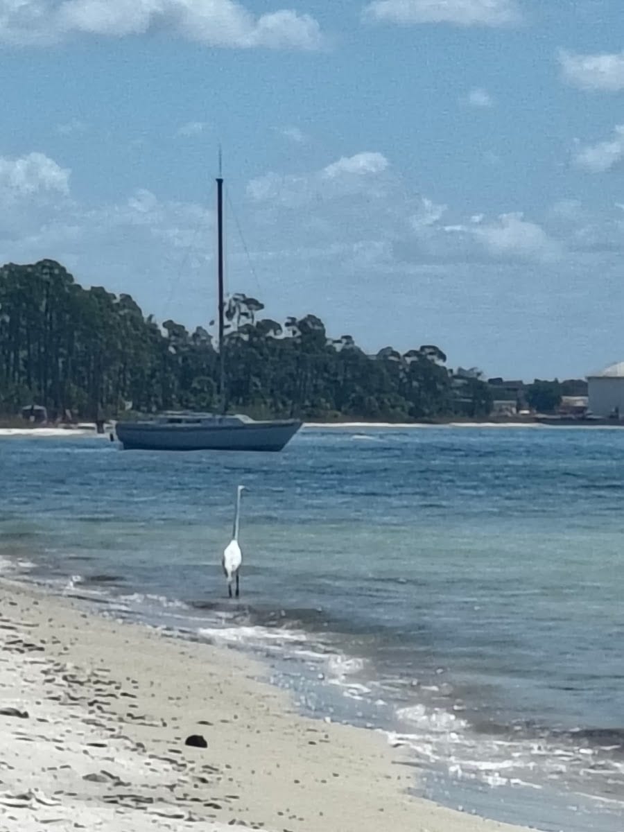 Calhoun Beach Park, photo 3
