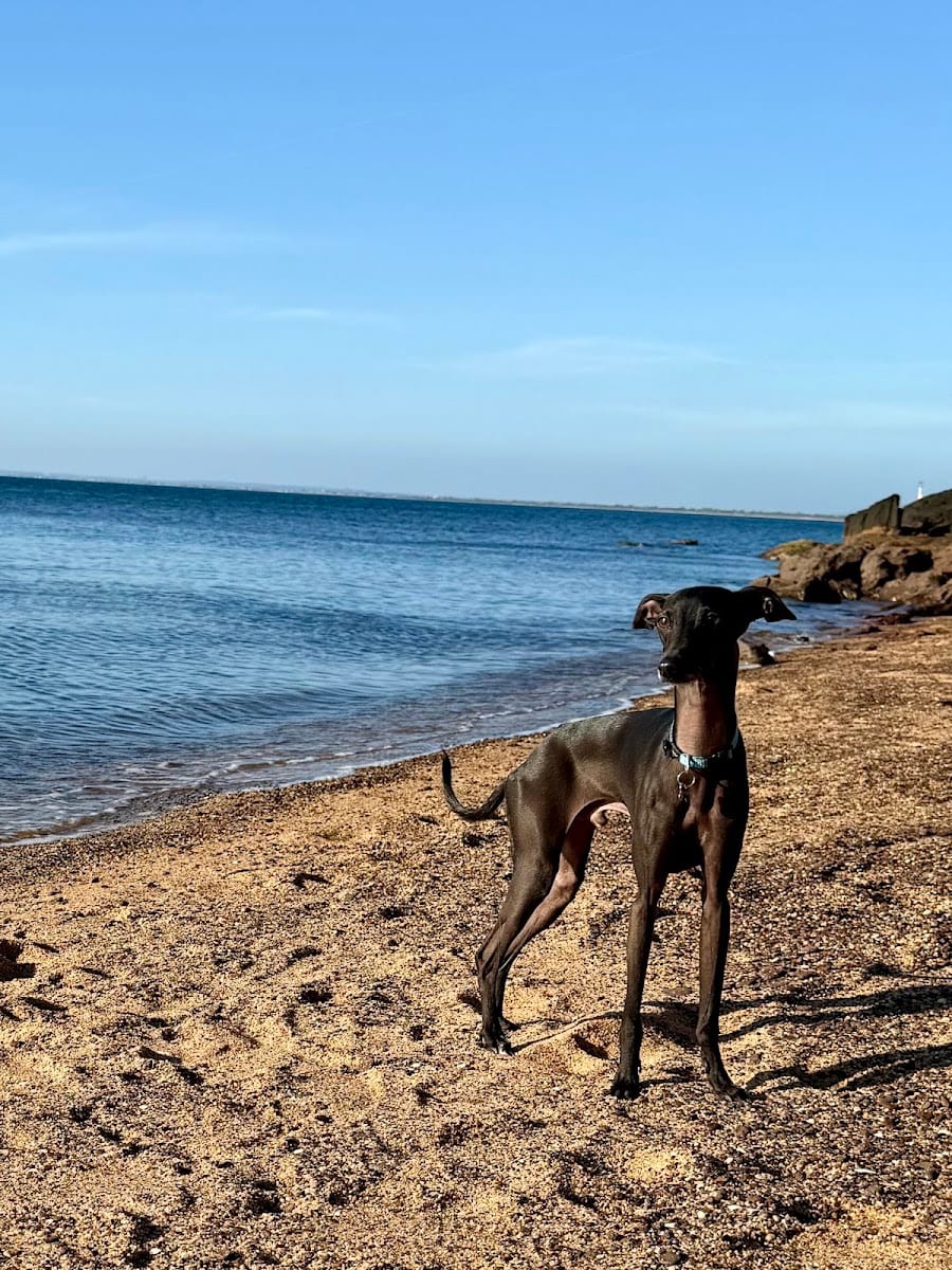 Kosi’s Beach
