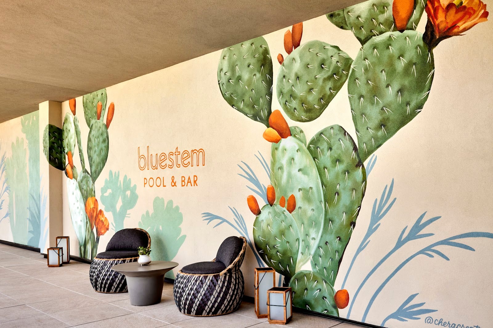 Bluestem Bar, photo 4