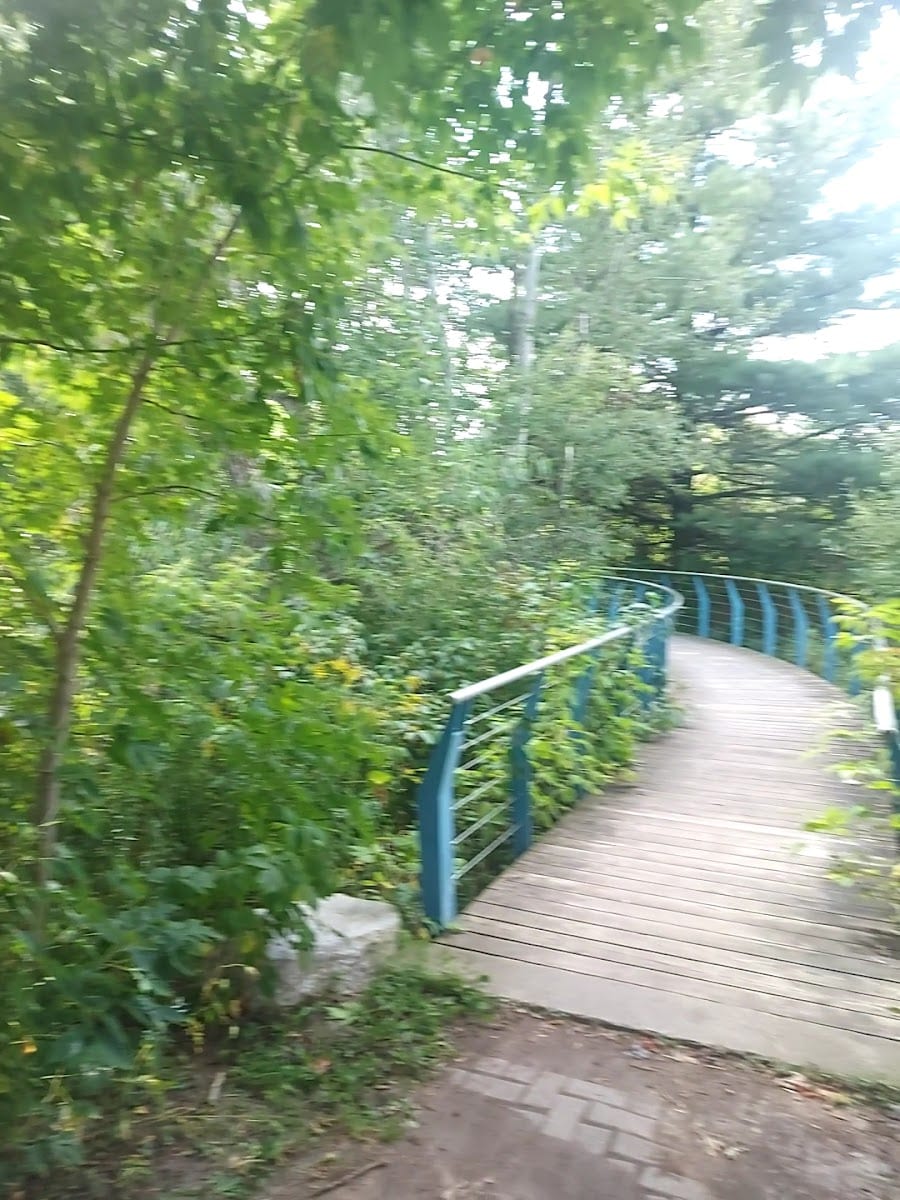 Ozark Park, photo 2