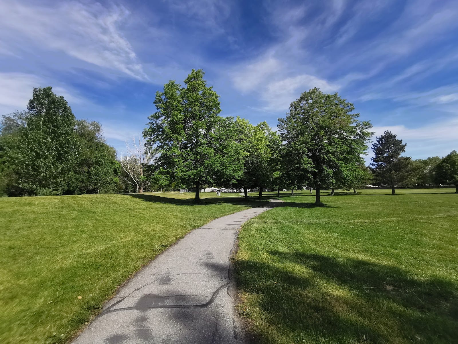 Cottonwood Park, photo 3