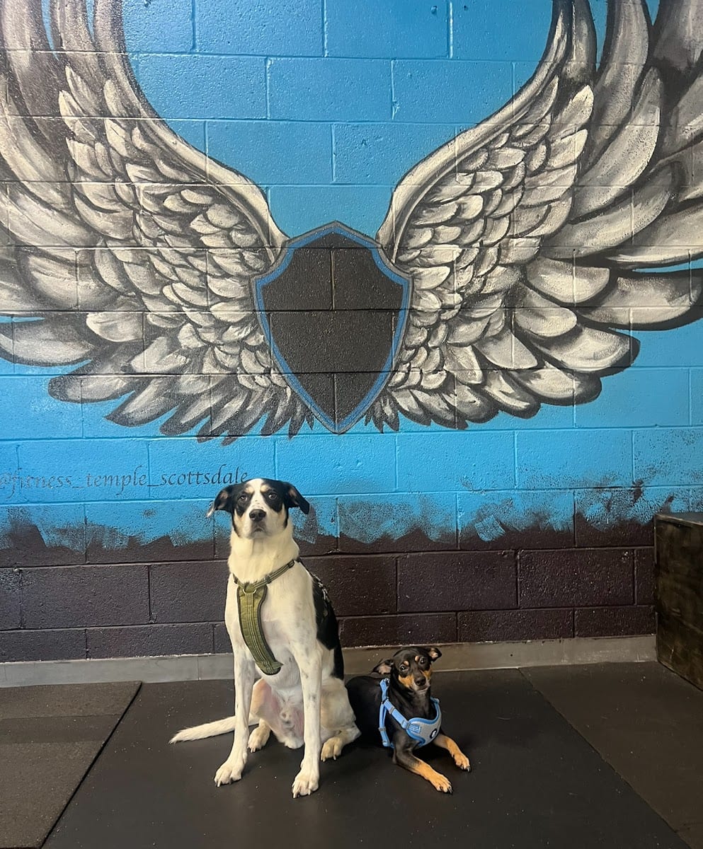 Fitness Temple Az