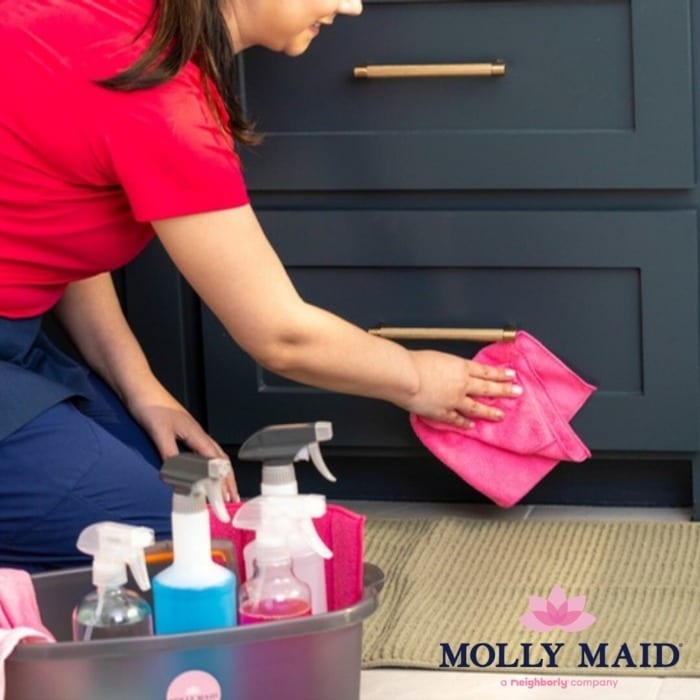 Molly Maid, photo 3