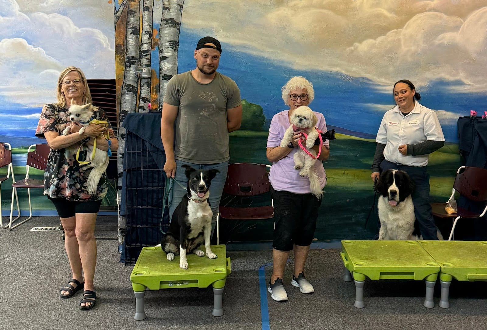 K9's Unleashed Training Academy, photo 4