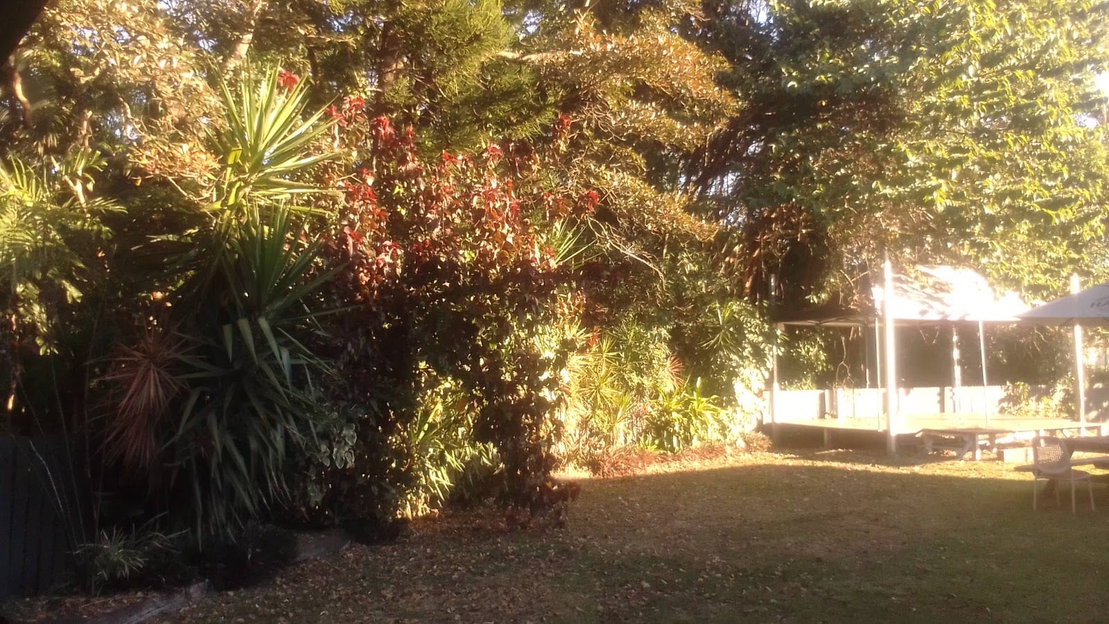 Brewers Road Reserve, photo 2
