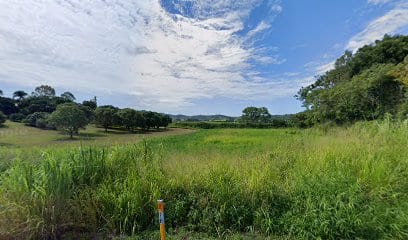 Highway View Close Park
