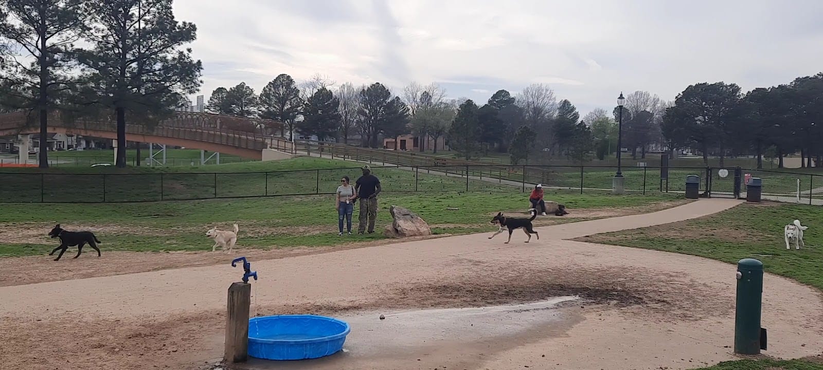 MacArthur Dog Park and Recreation, photo 2
