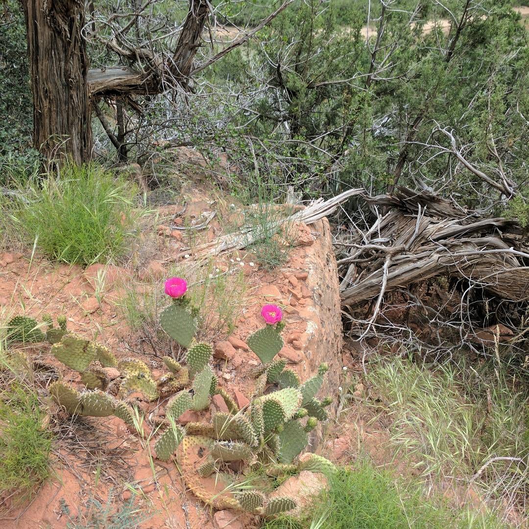 Utah South Appraisal, photo 4