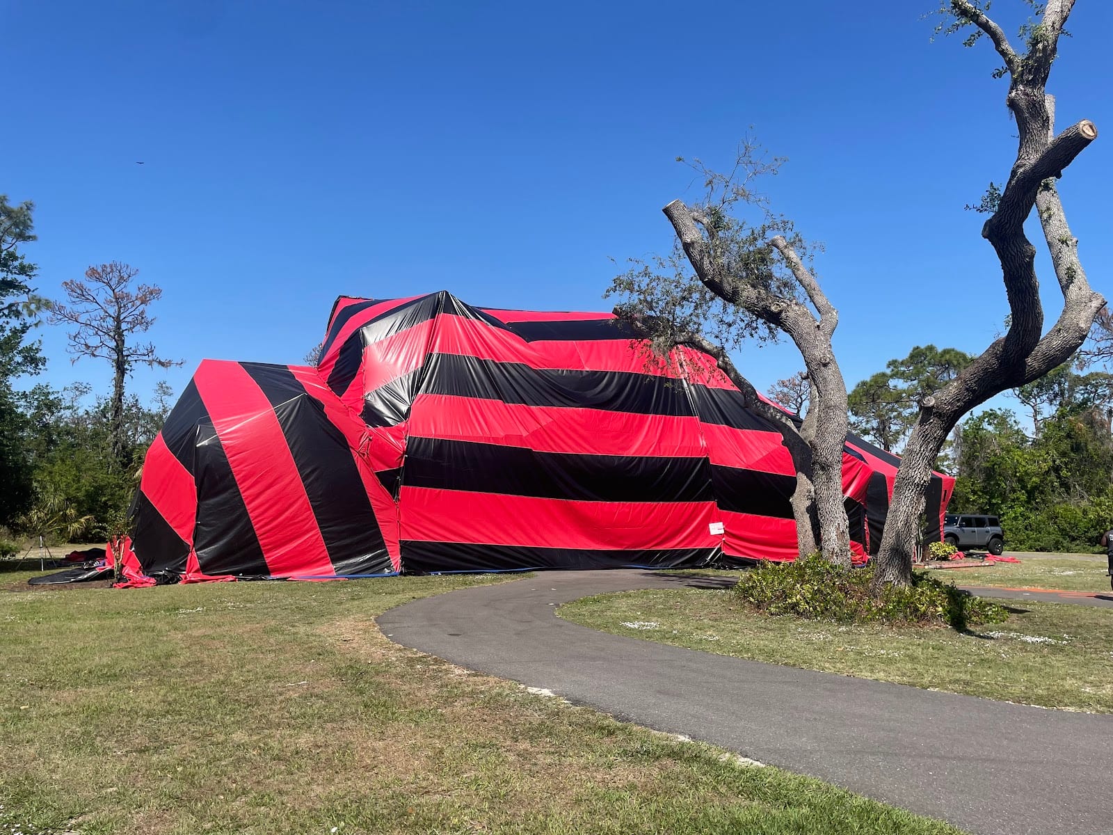 Pest n' Tent LLC, photo 4