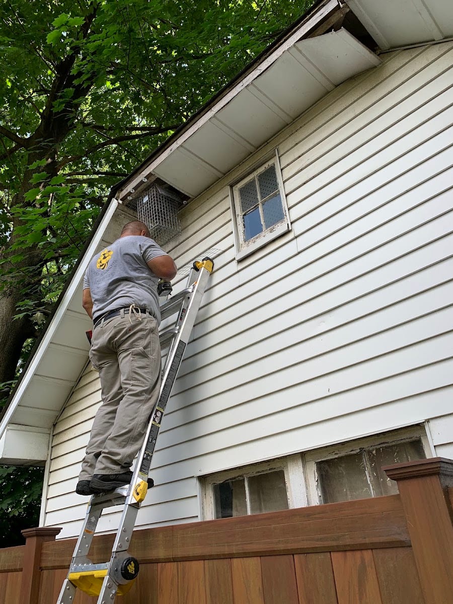 Reliable pest and animal control, photo 4