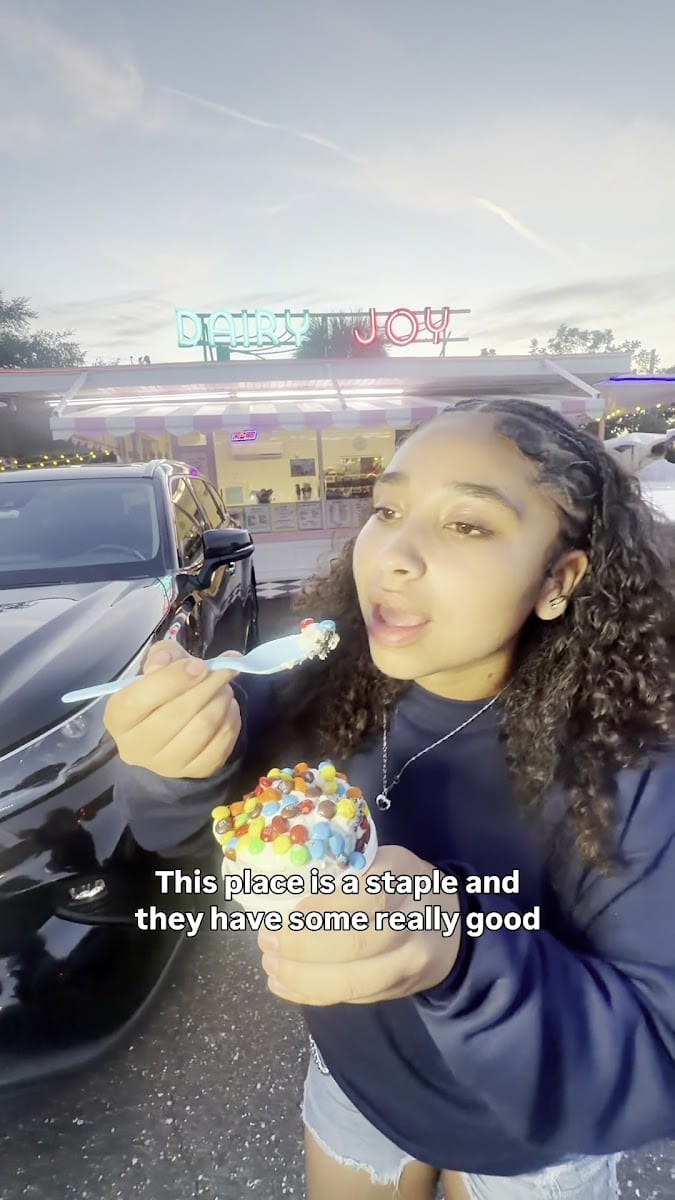 Dairy Joy- Tampa Ice Cream, photo 3