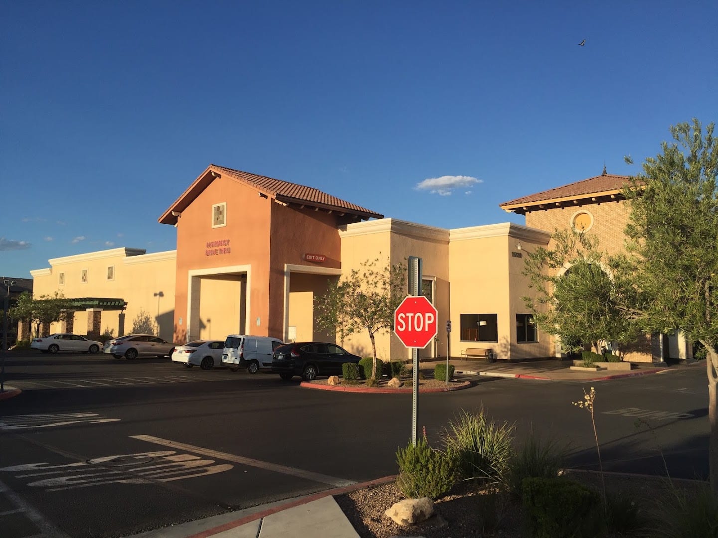 Albertsons Pharmacy, photo 3