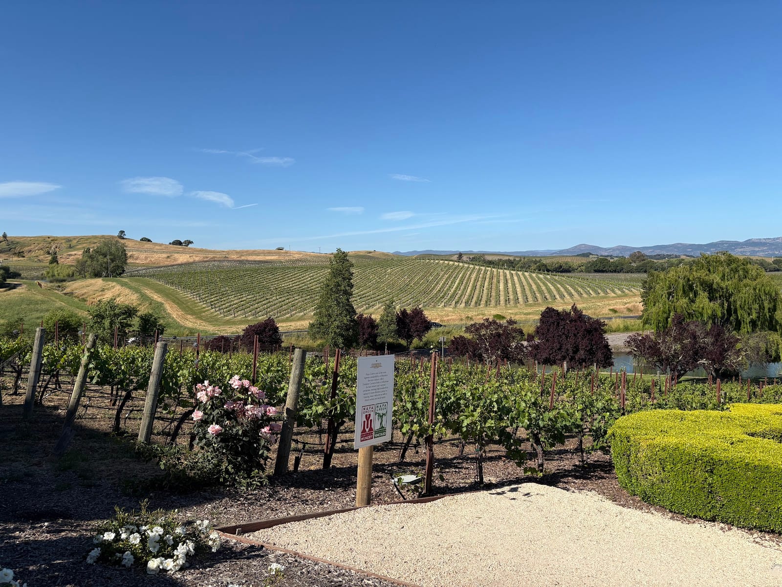 Wine tasting, photo 3
