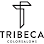 Tribeca Salon Seminole Heights