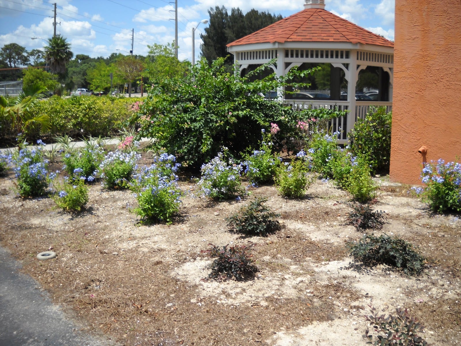Villa San Marcos, photo 4