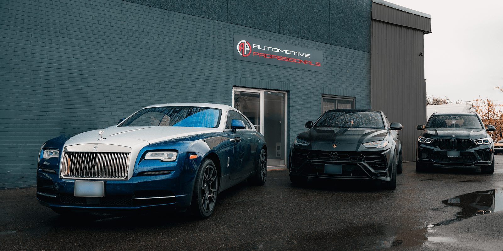 Automotive Professionals, photo 2
