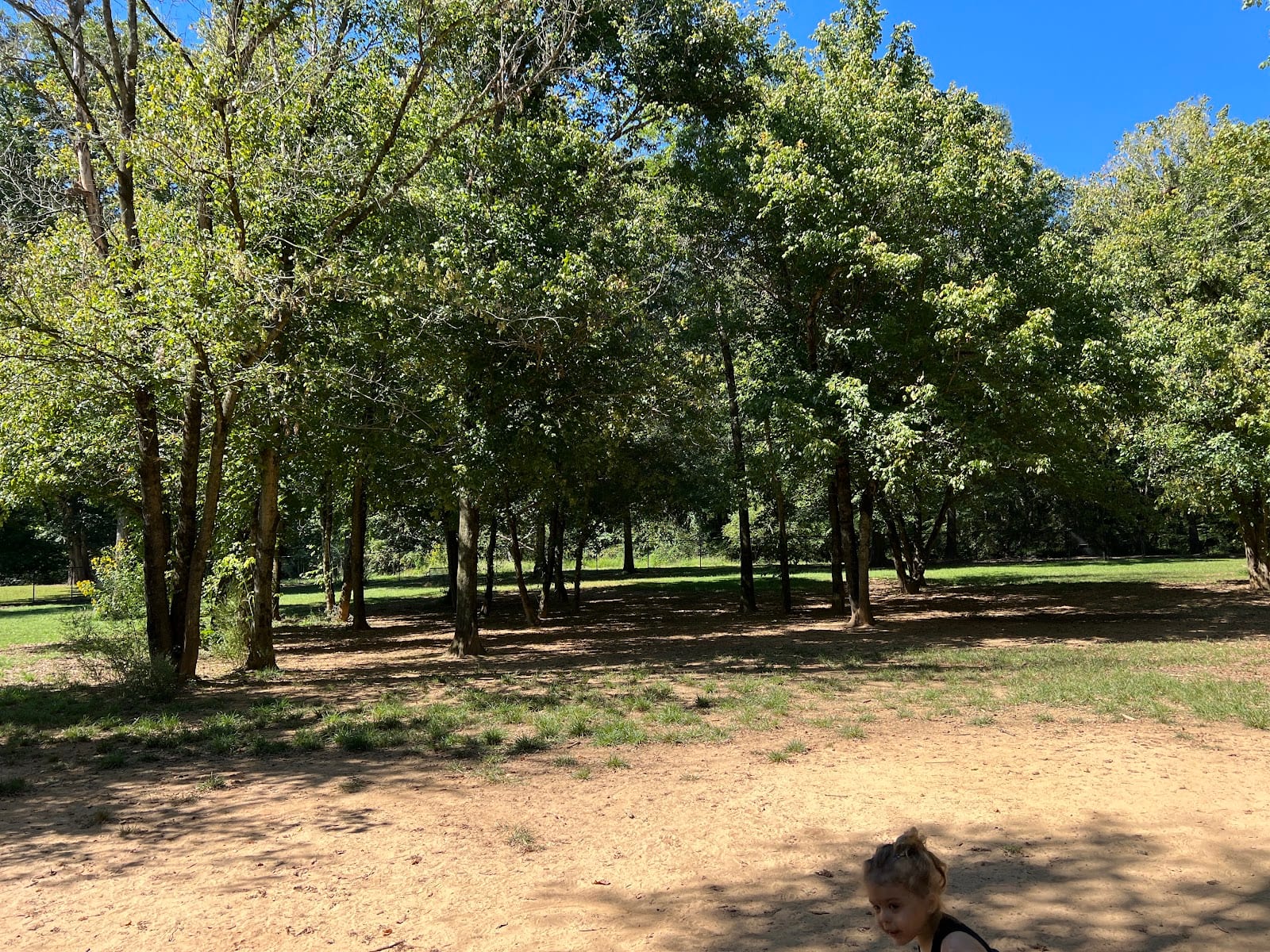 Nettles Dog Park, photo 3