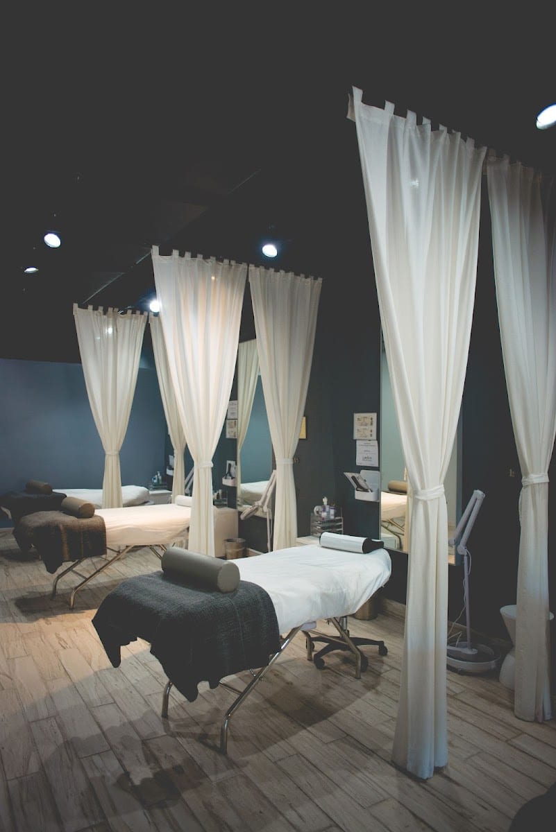 Lash Spa Studio - South Tampa, photo 2