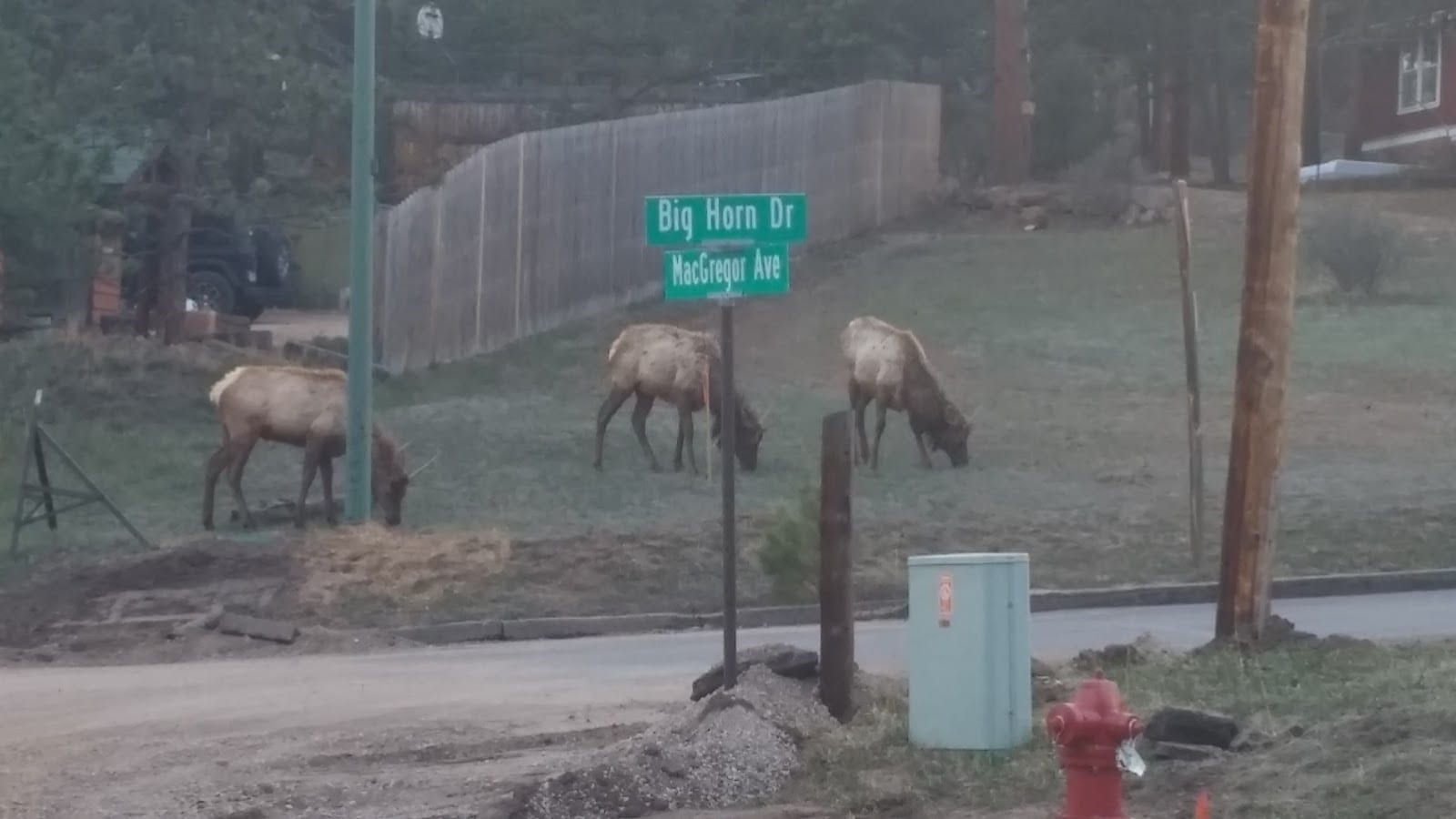 Twin Owls House in Estes Park, photo 3